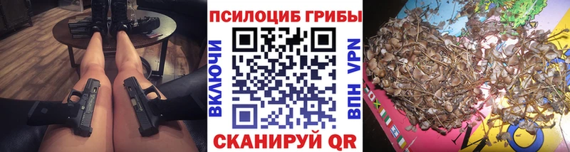 Псилоцибиновые грибы Psilocybe Усолье-Сибирское